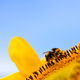 Illustration for article titled 134 Terrifying Close-Ups Of Bugs